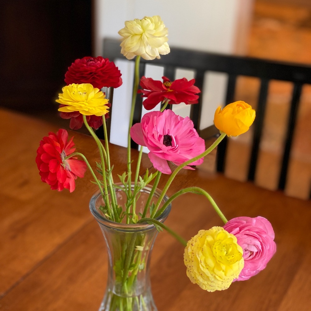 Meet your Posher, Ila